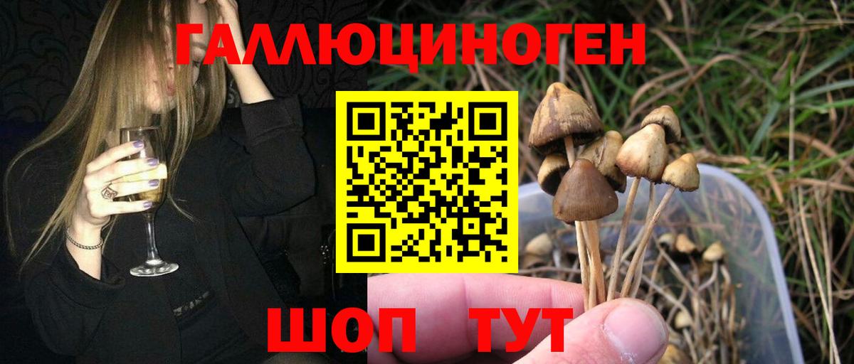 Псилоцибиновые грибы GOLDEN TEACHER Карталы
